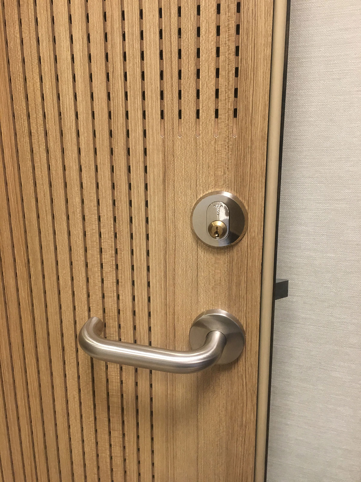 PERFOPAN® Wooden Acoustic Panel Systems Acoustic Door